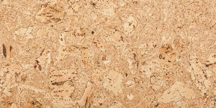 Liège Mural Échantillons