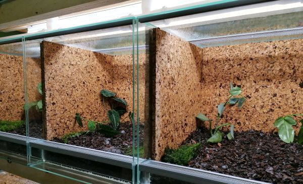 Liège expansé - découvrez les avantages d'une bonne isolation